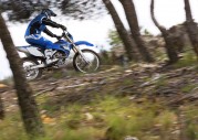 Yamaha WR250F